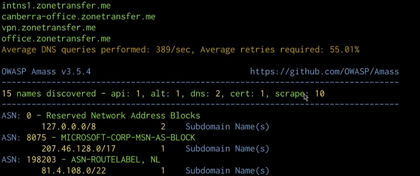 Amass subdomain enumeration output