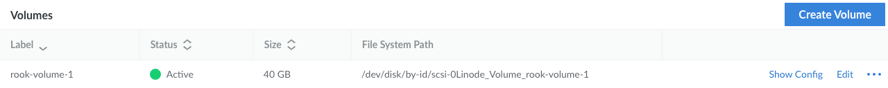 The Storage tab of a Kubernetes node, showing the new volume as active.