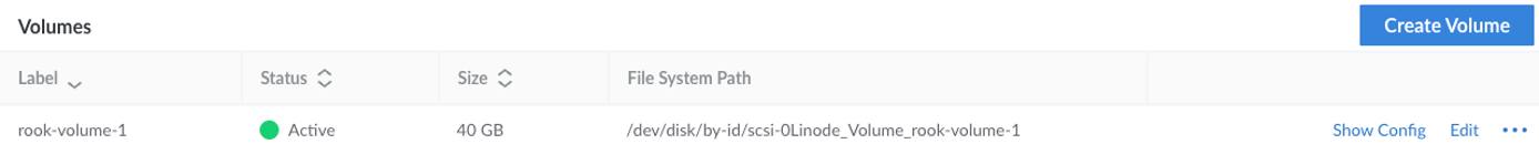 The Storage tab of a Kubernetes node, showing the new volume as active.